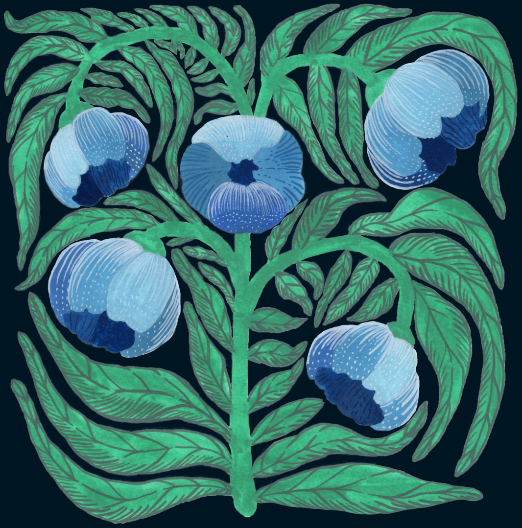 Stacks Image 107