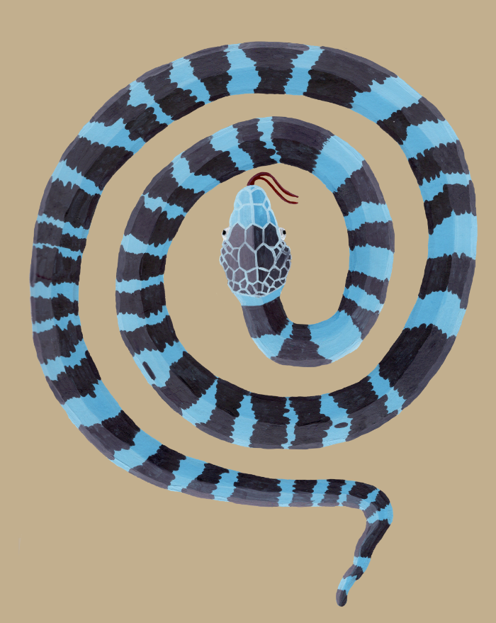 Stacks Image 131