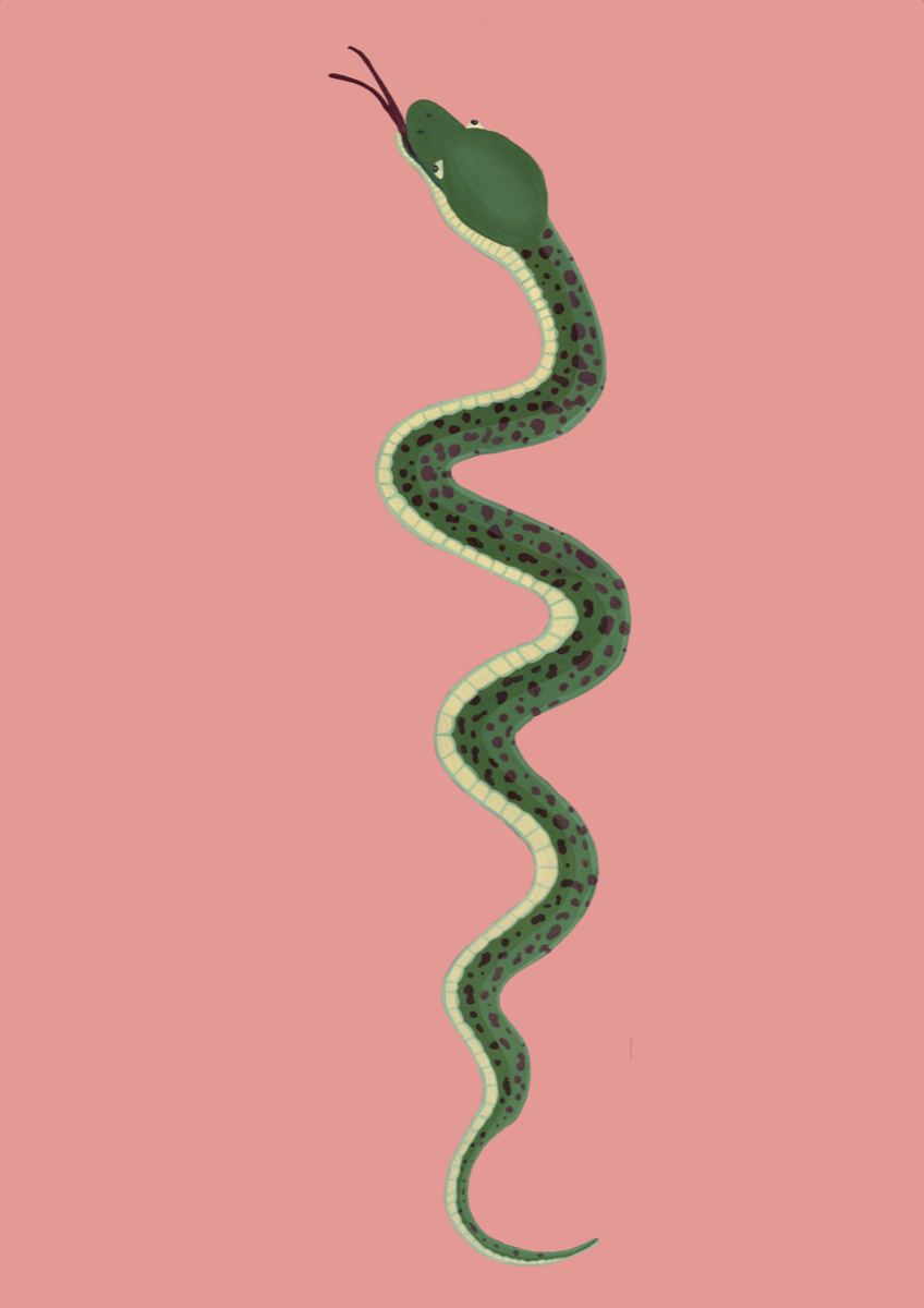 Stacks Image 99